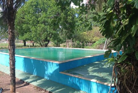 Chácaras para alugar em Bady Bassit